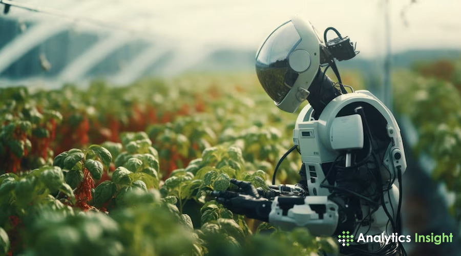 analyticsinme's tweet image. AI in Agriculture: Detecting Plant Diseases and Their Challenges 

tinyurl.com/vrubjxvp 

#Aiinagriculture #Agriculture #DeployingAI #ArtificialIntelligence #Machinelearningalgorithms #AI #AINews #AnalyticsInsight #AnalyticsInsightMagazine