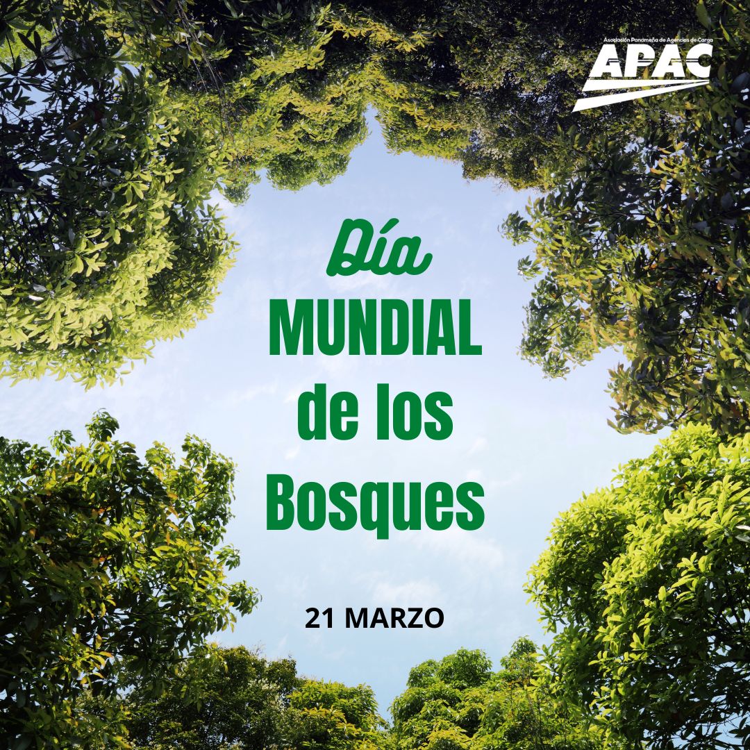 APAC es conciente de la importarcia de cuidar y preservar todas las áreas forestales del planeta, para así preservar todas las especies. Conocer nuestros bosques y mantenerlos sanos es fundamental para el futuro.
#apacpanama #diamundial #bosques #preservacion #futuro #planeta
