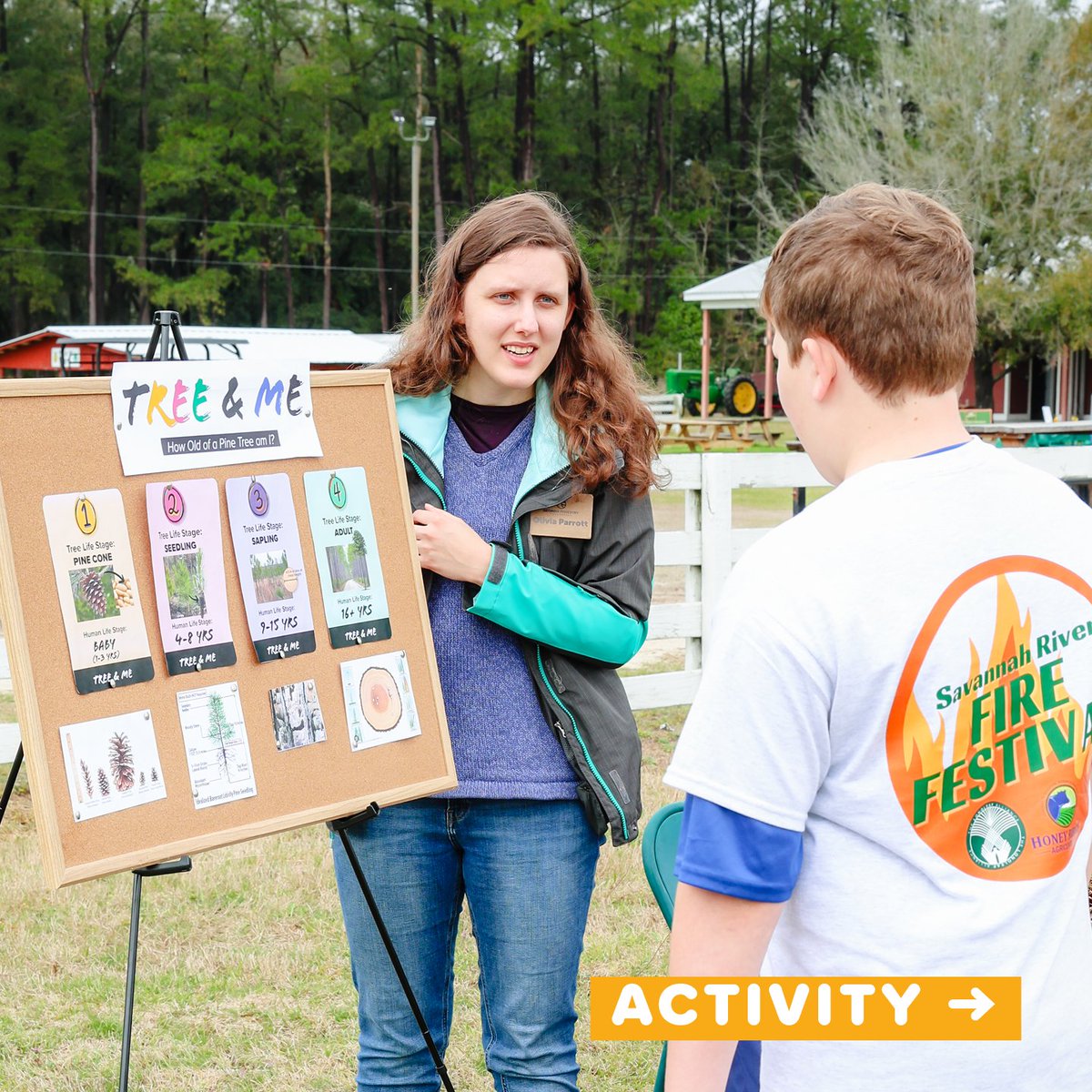 Georgia Forestry Foundation tweet media