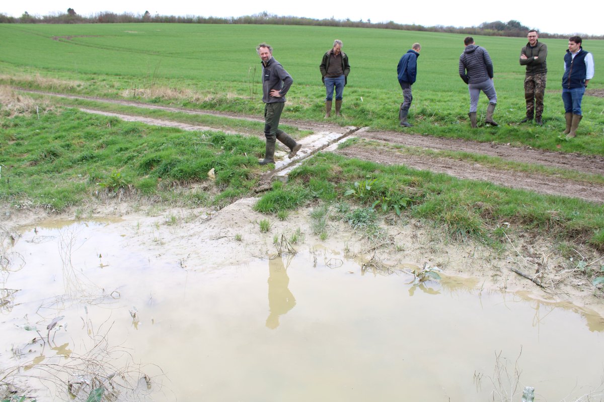 A very interesting day on MartinDownFarmerCluster, seeing the fantastic River Crane Restoration Project undertaken by one of our members: @CranborneEstate. Improving water quality, flow and biodiversity, funded by #FIPL @CranborneChase supported by @WessexRivers #Winterborne