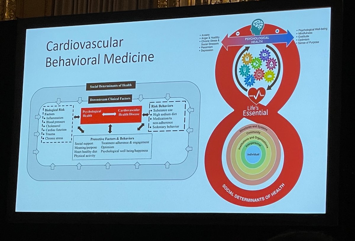 Kat Kennedy, PhD (@sphynxkennedy) on Twitter photo If there was ever a slide to demonstrate how everything is connected to everything else, this is it!
No organ/tissue/disease exists in isolation.
Science, therefore, should not be siloed.
#EPILifestyle24 <a href="/American_Heart/">American Heart Association</a> <a href="/healthpsychPhD/">Dr. Alyssa Vela</a> If there was ever a slide to demonstrate how everything is connected to everything else, this is it!
No organ/tissue/disease exists in isolation.
Science, therefore, should not be siloed.
#EPILifestyle24 <a href="/American_Heart/">American Heart Association</a> <a href="/healthpsychPhD/">Dr. Alyssa Vela</a>