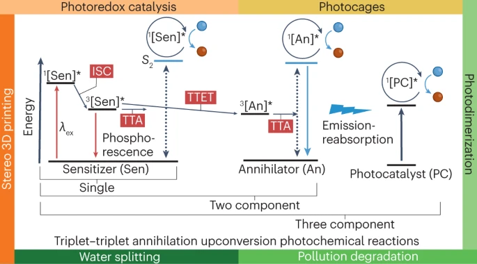Gang Han (@ganghan_umms) on Twitter photo Our article on the emerging chemistry and biological applications of organic triplet-triplet annihilation upconversion nanoparticles is now published in Nature Reviews Chemistry. <a href="/NatRevChem/">Nature Reviews Chemistry</a> nature.com/articles/s4157… Our article on the emerging chemistry and biological applications of organic triplet-triplet annihilation upconversion nanoparticles is now published in Nature Reviews Chemistry. <a href="/NatRevChem/">Nature Reviews Chemistry</a> nature.com/articles/s4157…