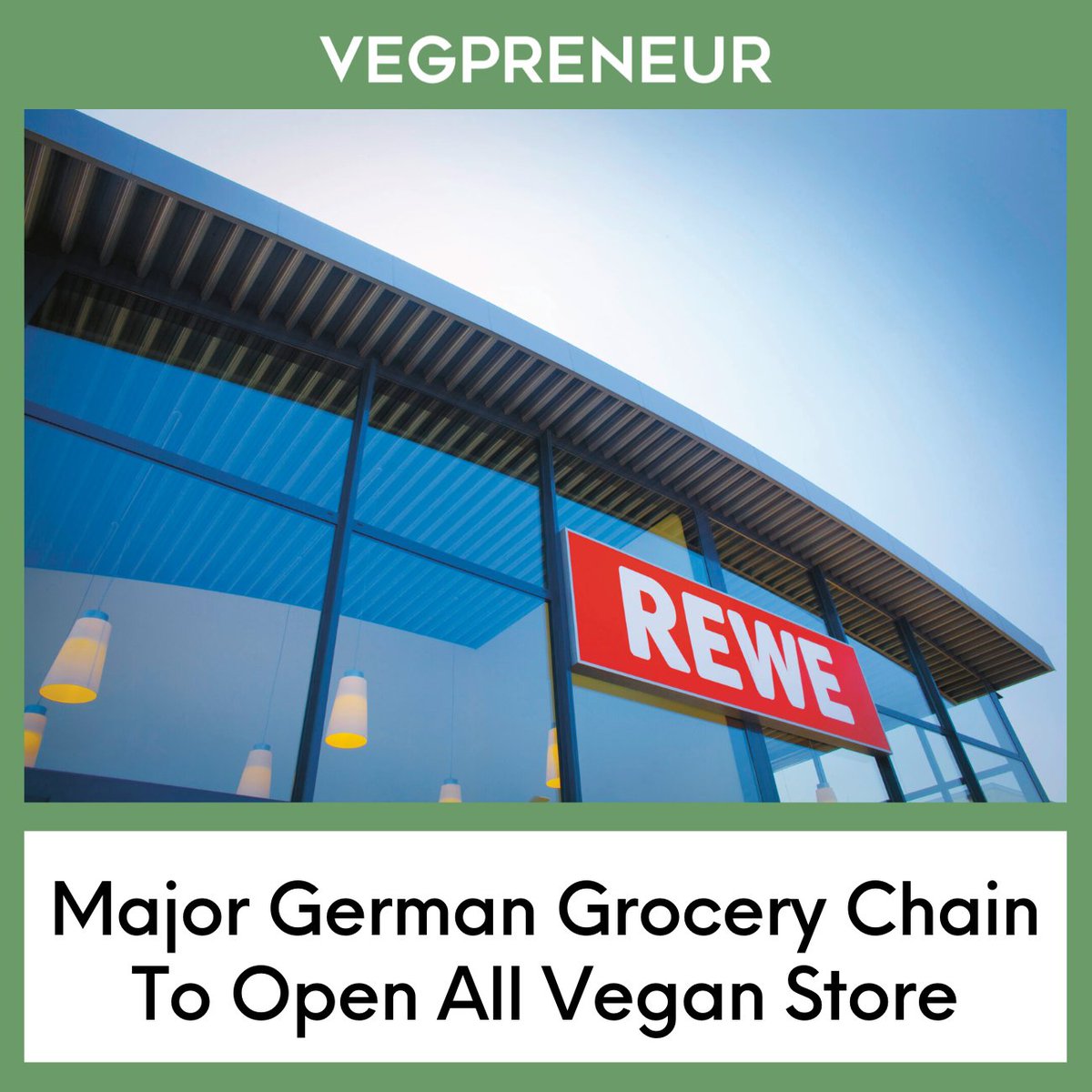 VEGPRENEUR tweet media