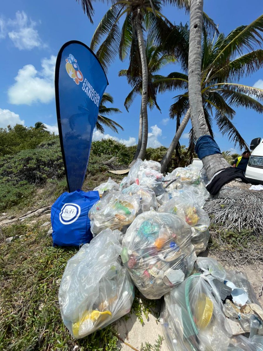 @HighlyArtistic @Ceci_Sakura007 @jerri_nft @polyraiders @FireflyShire @aquapurgeweb3 @songofom 254 kilos of trash picked up from the 'pristine' shores of Sian Kaan 💙 @ReFiTulum