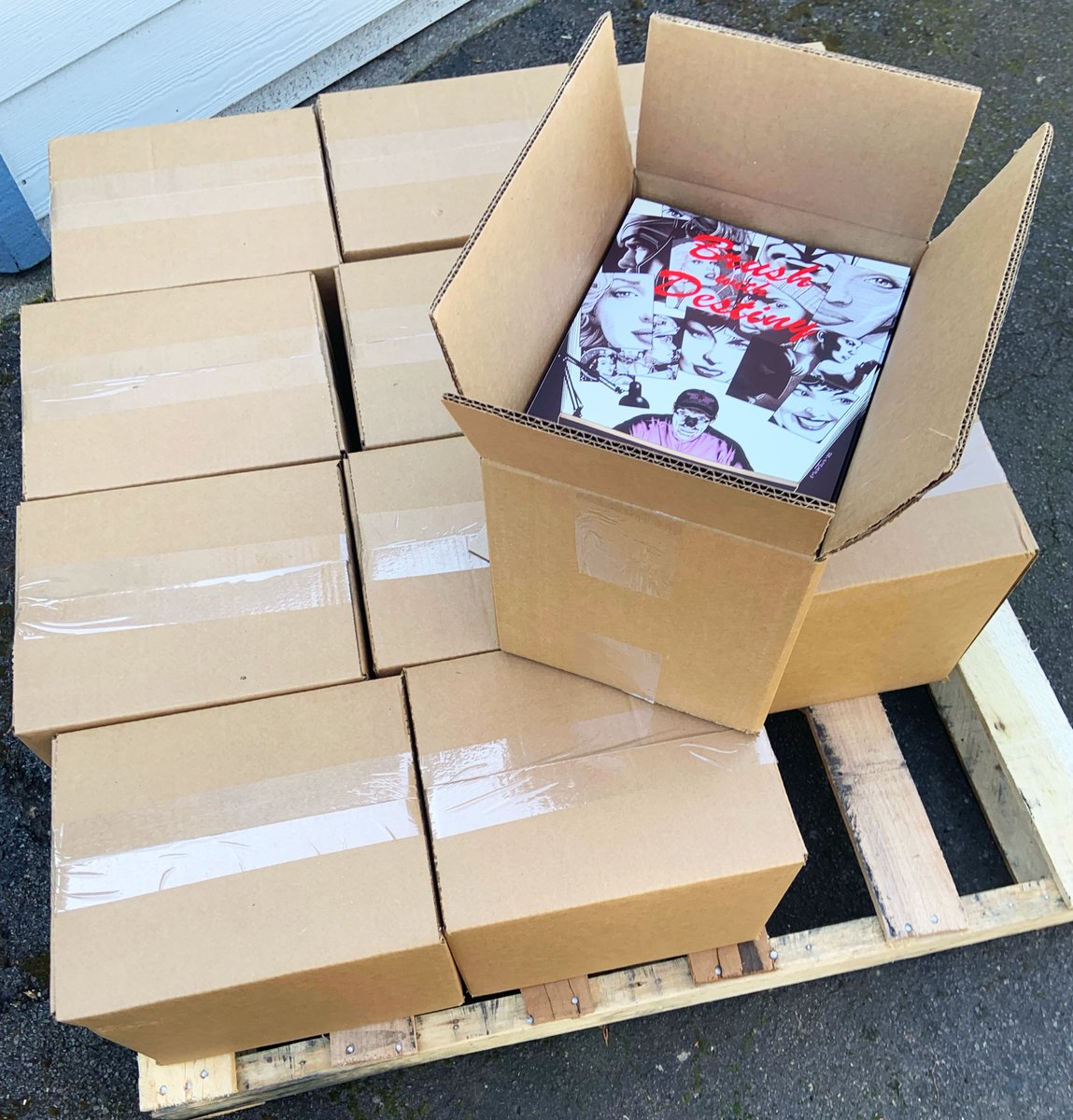 Look what arrived this week. A pallet of 'Brush With Destiny' books from the printer! I've started the shipping process, so if you ordered a book, you should be getting your copy soon! Art prints and original art commissions will be fulfilled after the books ship. #comicsgate