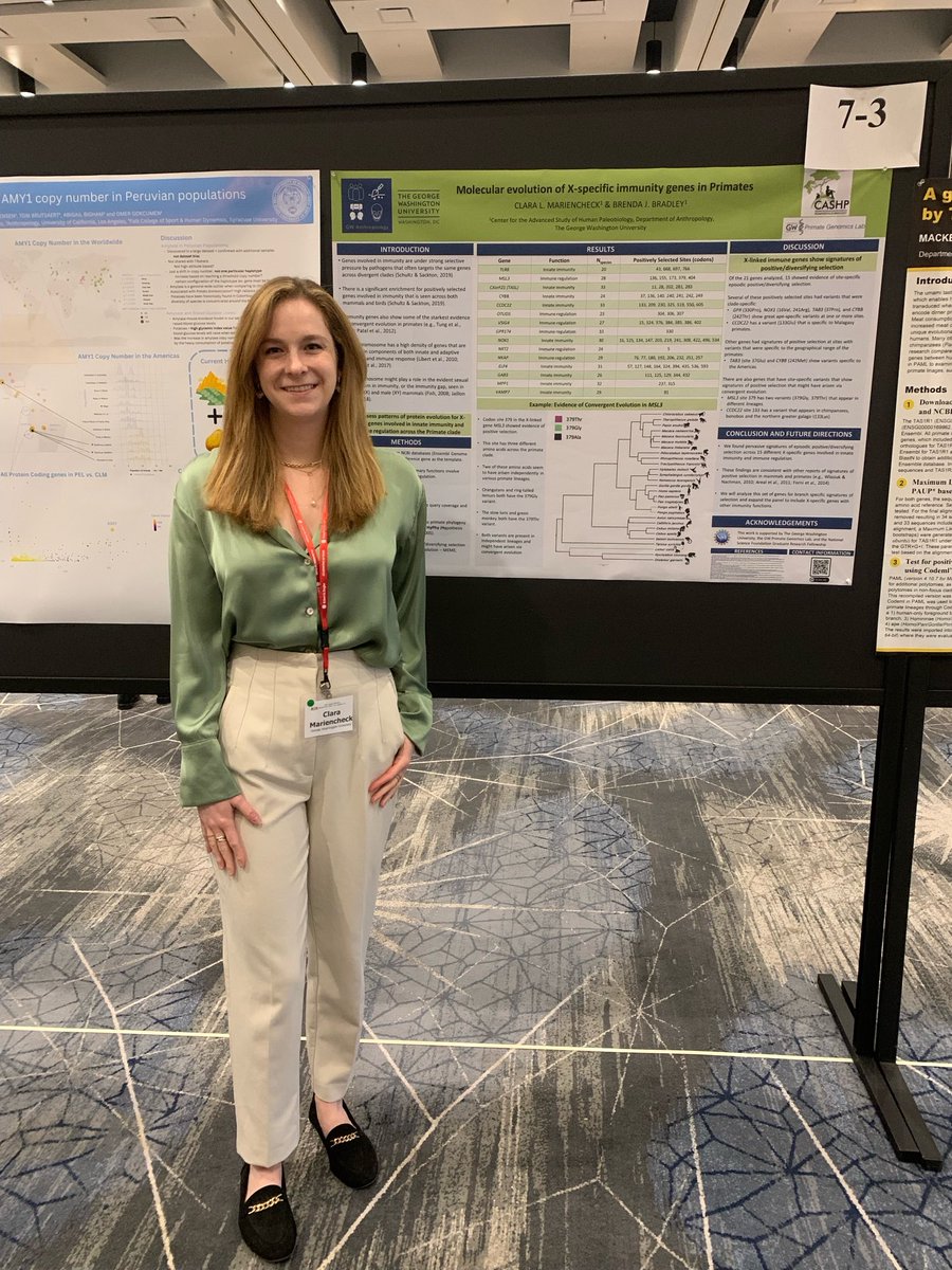 GW Primate Genomics (@gwbradleylab) on Twitter photo At #AABA2024? Check out Clara’s poster today on immunity gene protein evolution in primates!
🧬🦍🐒🦧 <a href="/gwCASHP/">CASHP</a> <a href="/GWAnthropology/">GW Anthropology</a> <a href="/CMariencheck/">Clara Mariencheck</a> At #AABA2024? Check out Clara’s poster today on immunity gene protein evolution in primates!
🧬🦍🐒🦧 <a href="/gwCASHP/">CASHP</a> <a href="/GWAnthropology/">GW Anthropology</a> <a href="/CMariencheck/">Clara Mariencheck</a>