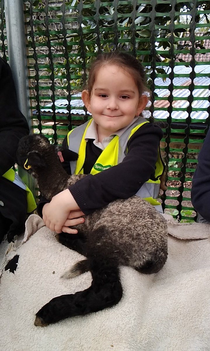 SquirrelsBCP's tweet photo. And we got to hold the baby lambs! They were so cute and cuddly! https://t.co/ytsYkpJEqZ