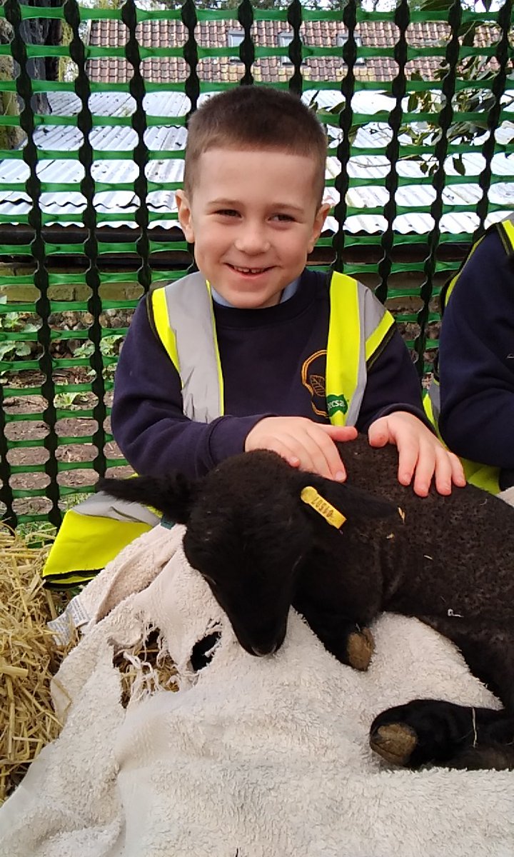 SquirrelsBCP's tweet photo. And we got to hold the baby lambs! They were so cute and cuddly! https://t.co/ytsYkpJEqZ