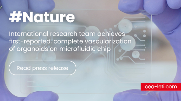 [NATURE] 📌A team of international researchers featuring the Interdisciplinary Research Institute of Grenoble (@CEA_Irig) and CEA-Leti has achieved an in vitro #breakthrough👉
leti-cea.com/cea-tech/leti/…
#organoids #microfluidic <a href="/Nature/">nature</a> #Chips #naturecommunications #health #medicine