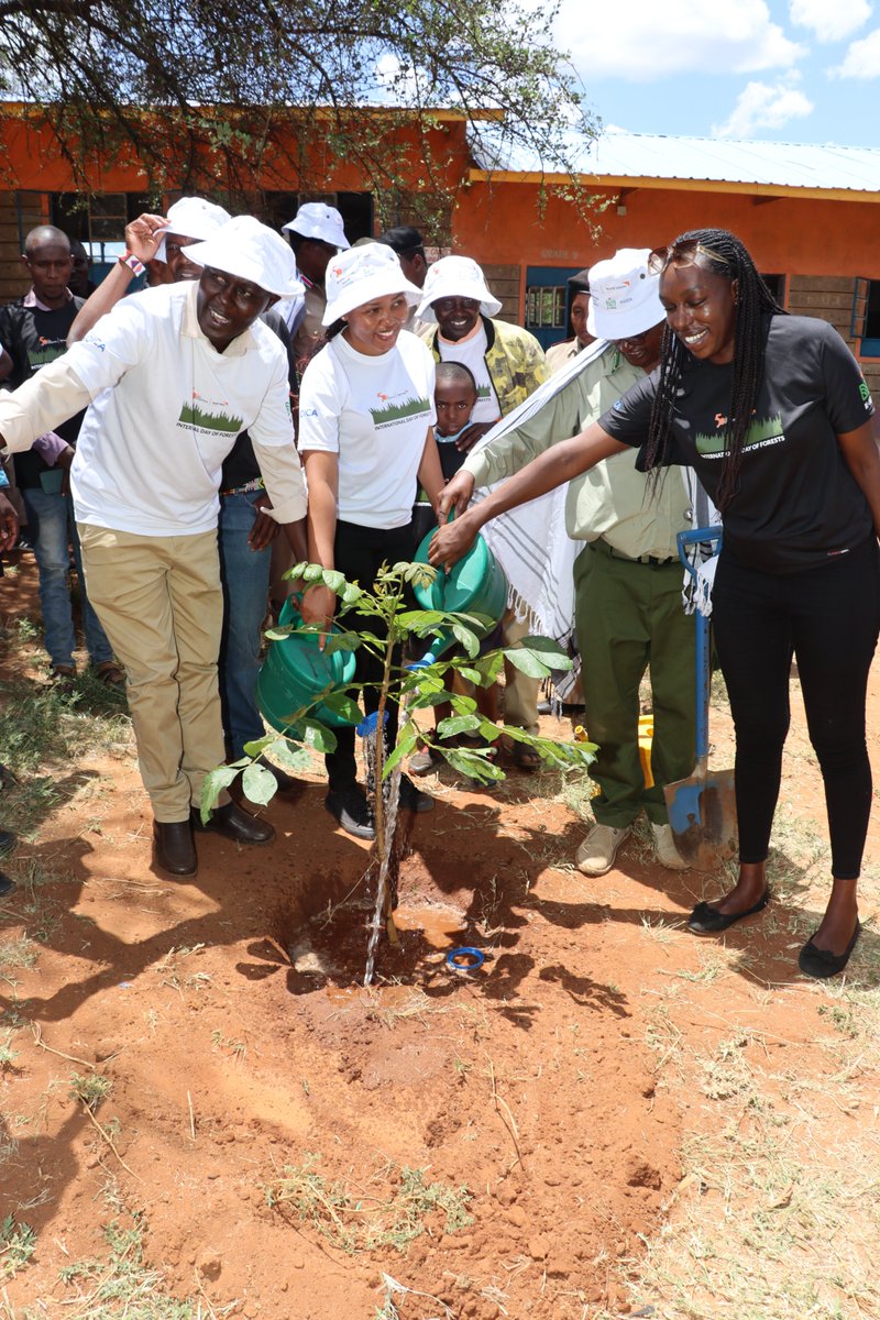 HAPPY WORLD FOREST DAY,2024
This year's theme being " Forests and Innovation : New Solutions for a better world' aim to raise awareness on the importance of all forests and promote actions for their sustainable management and conservation. 
#jazamiti