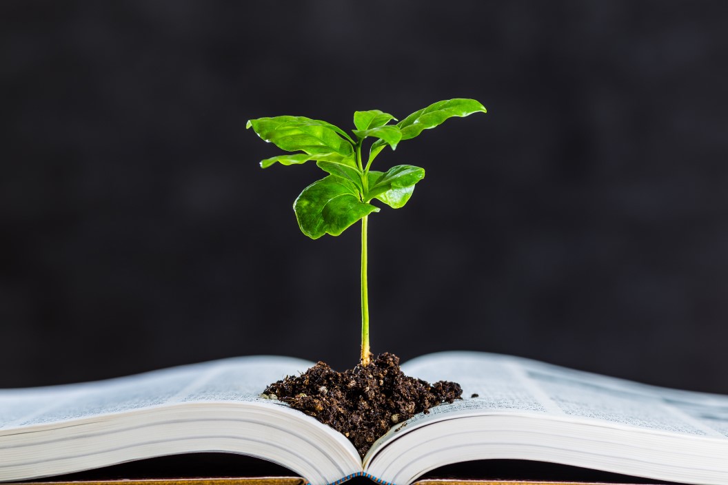 Register now to avail of the early bird rate for the 20th annual Law & the Environment conference @UCC 🍃🌿 Early bird until 31st March! More info here: bit.ly/3Pvnhtg Register here: conference.ucc.ie/law-and-enviro… #LawEnv2024 @LawEnvironment @EnvJusticeUCC @UCCLawEnv