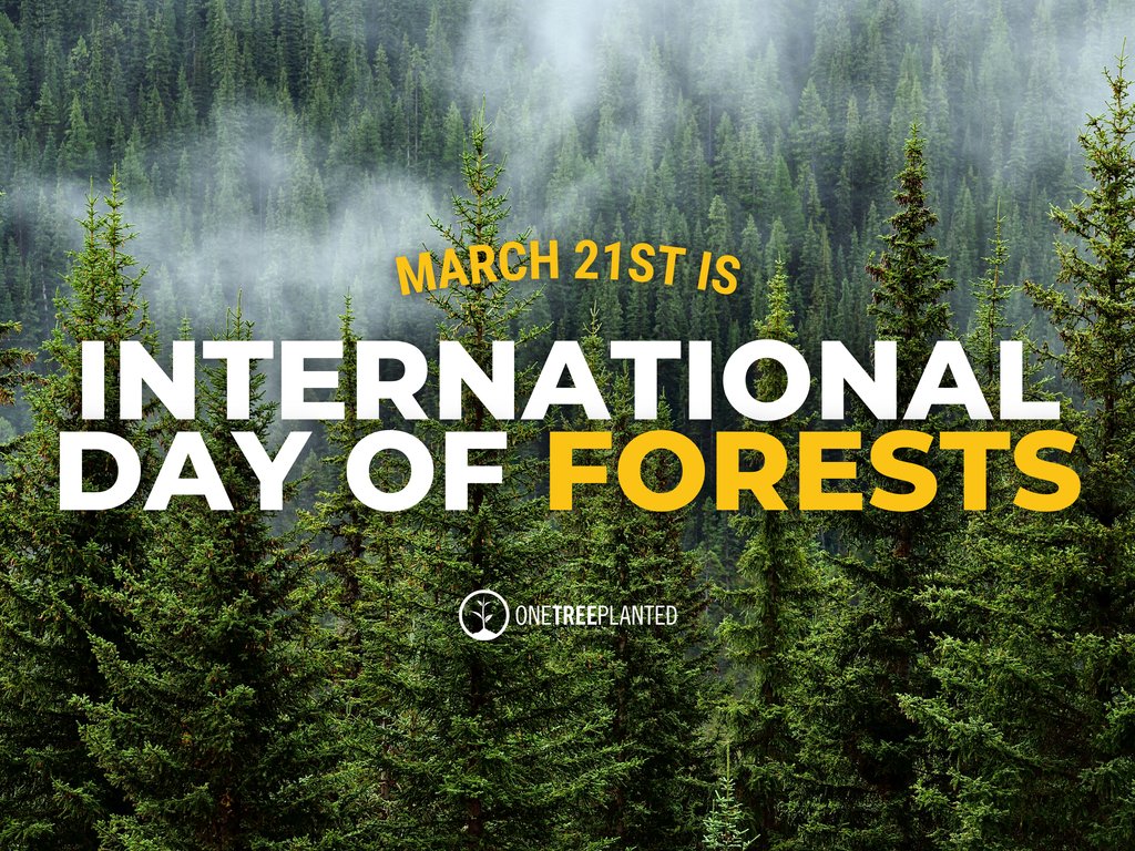 Happy #InternationalDayofForests! 🌲 Today, let's honor and appreciate the beauty, diversity, and importance of our planet's forests. Let's pledge to protect and preserve them for future generations! 🌳💚 Learn more about the importance of forests: onetreeplanted.info/forests