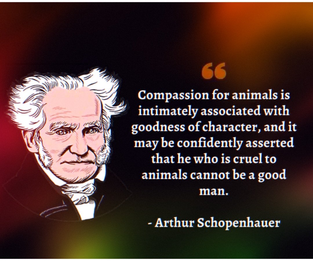 Animal welfare as a test of character.