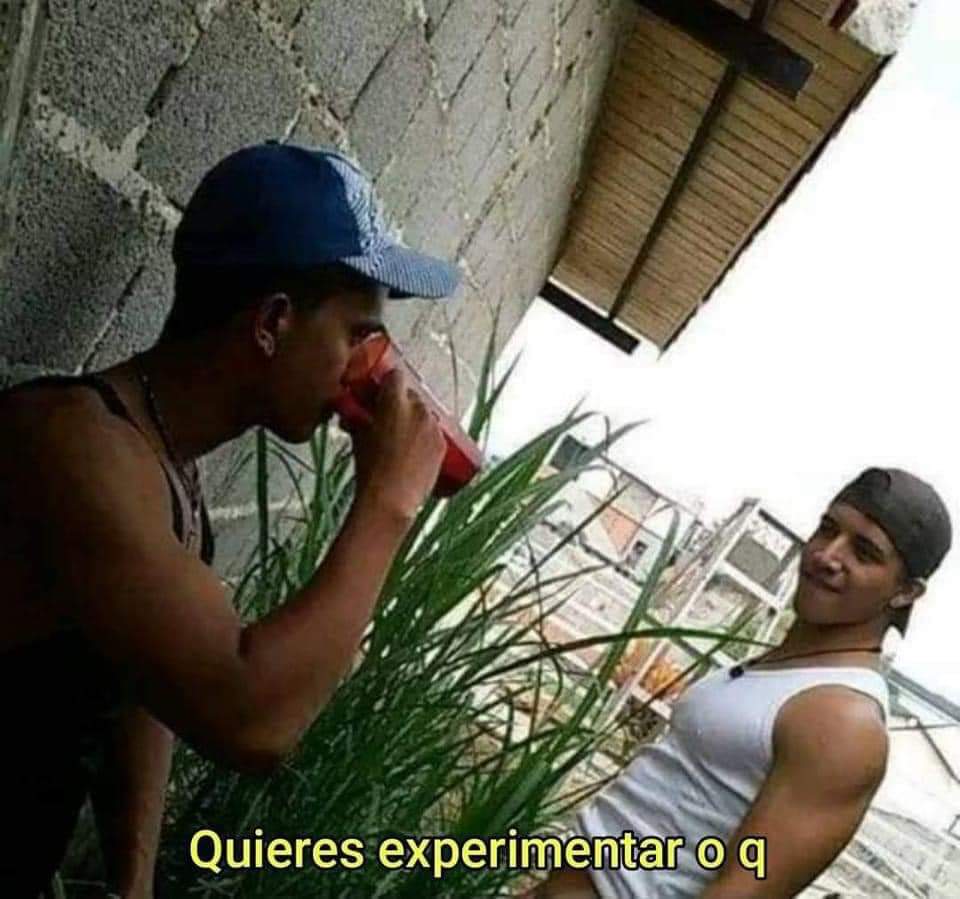 ColorLenteja's tweet photo. Cuando alguien me dice que no ha comido piña con sal: https://t.co/dGctMm551Z