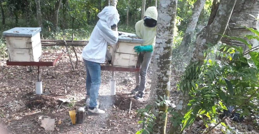 HDI has connected students studying agriculture at CFFL with our grantees supporting farmers, providing students valuable field experience and farmers access to their learning on honey production, veterinary medicine, rice production and soil conservation. #Haiti
