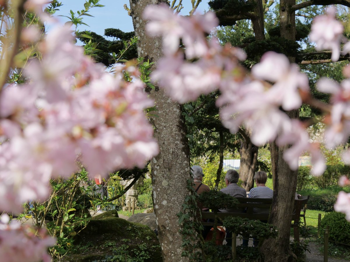 Parc Oriental tweet media