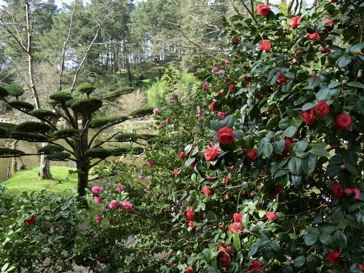 Parc Oriental tweet media