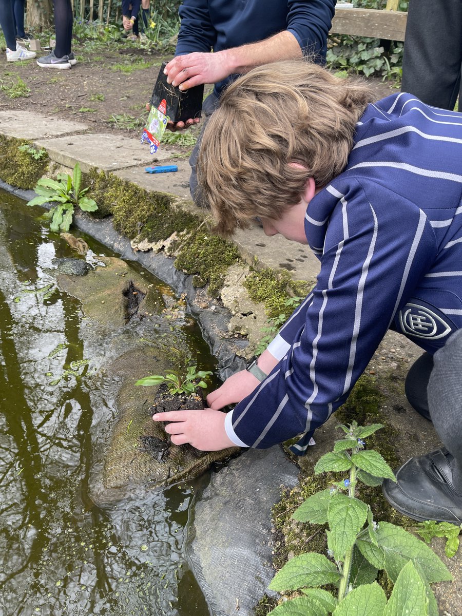 TownCloseSchool's tweet photo. They were extremely excited & proud to see their pond clearing efforts rewarded with a very healthy volume of frogspawn already apparent.
#TownCloseEcoCouncil #TownClosePond #TheRoyalSociety #WildPondProject #TownCloseWoodlandWalk #TownCloseSustainability #PartnershipsGrants https://t.co/5N2J9hO6g9