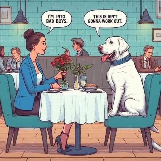 NovaKirsula (@kirsulanova) on Twitter photo 