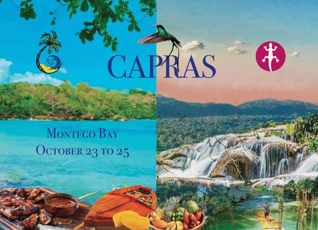 Don't forget you can still submit your abstracts for CAPRAS 2024. The deadline for submissions is August 1st, 2024, 11:59 PM - EST. Flow the link below to find out more 👇 capras876.com