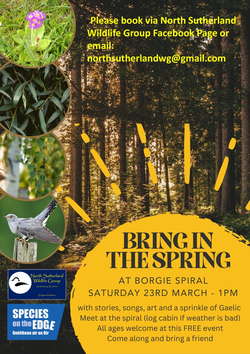 On the North Coast this weekend? Join us for a spring celebration! 🌼 📅Saturday 23 March, 1pm, Borgie cabin. We will be looking at some special spring species including Scottish primrose, cuckoo and silver birch. There will be stories, singing and crafts for everyone.