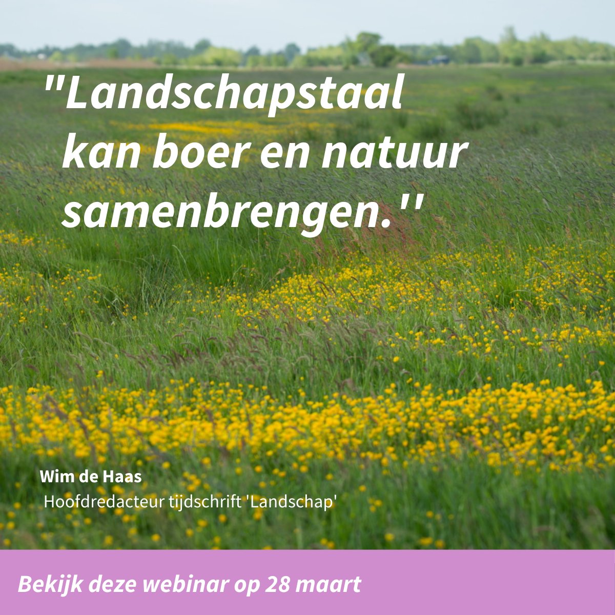 🔔Tijd voor een nieuw webinar. Wim de Haas is hoofdredacteur van tijdschrift ‘Landschap’ en schreef het boek 'het landschap verstaan. 'Dit webinar is voor iedereen die zich betrokken voelt bij het landschap of bij plannen daarvoor.' 🌳Waar: MijnGrond 🕢Wanneer: 28 maart, 19:30