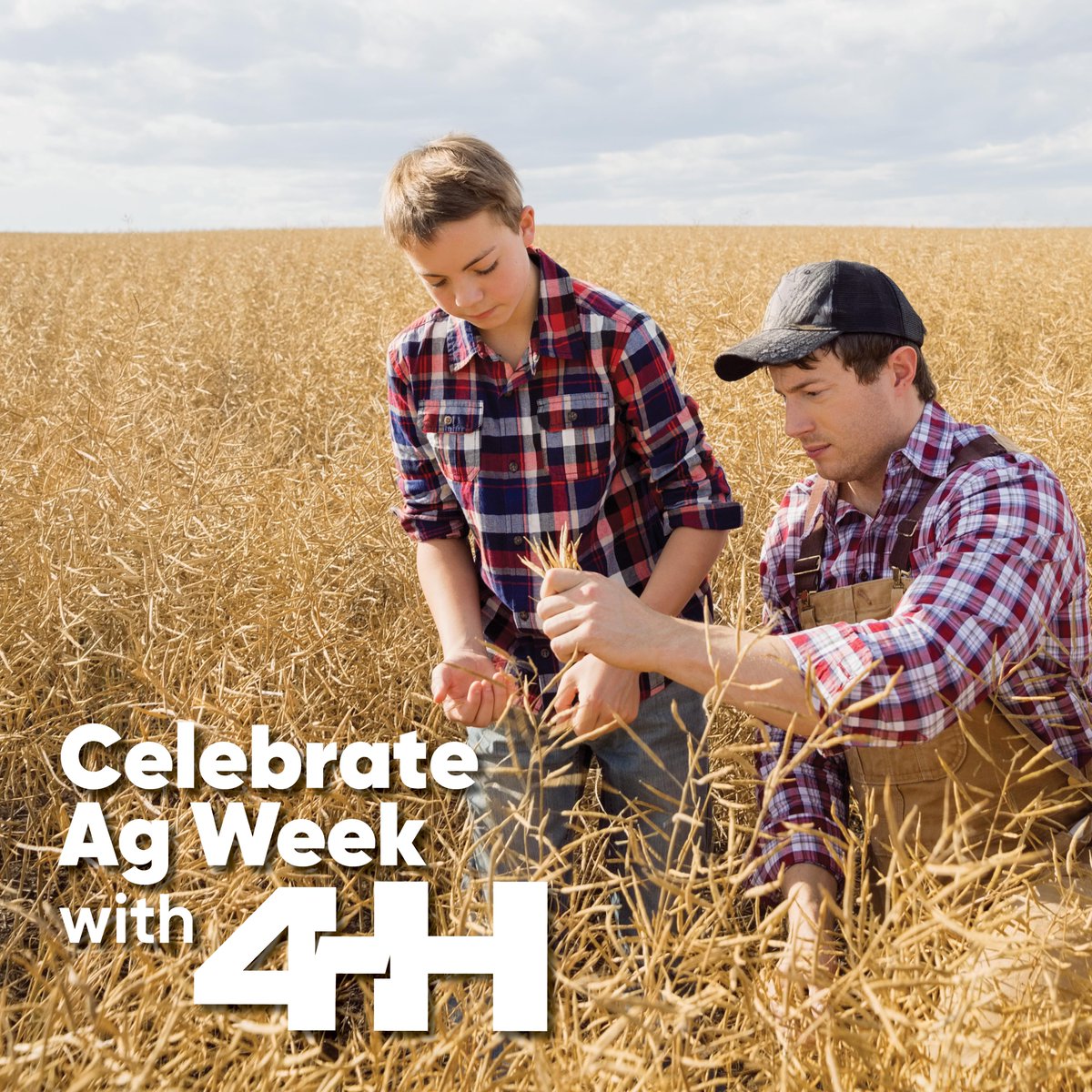 We're grateful to our donors and sponsors for empowering the next generation of agriculture leaders during Ag Week and beyond. Thank you for investing in our youth and the future of agriculture! @Bayer4CropsUS @corteva @NutrienLTD @SaputoInc #ThankYou #AgWeek 🌻#Opportunity4All