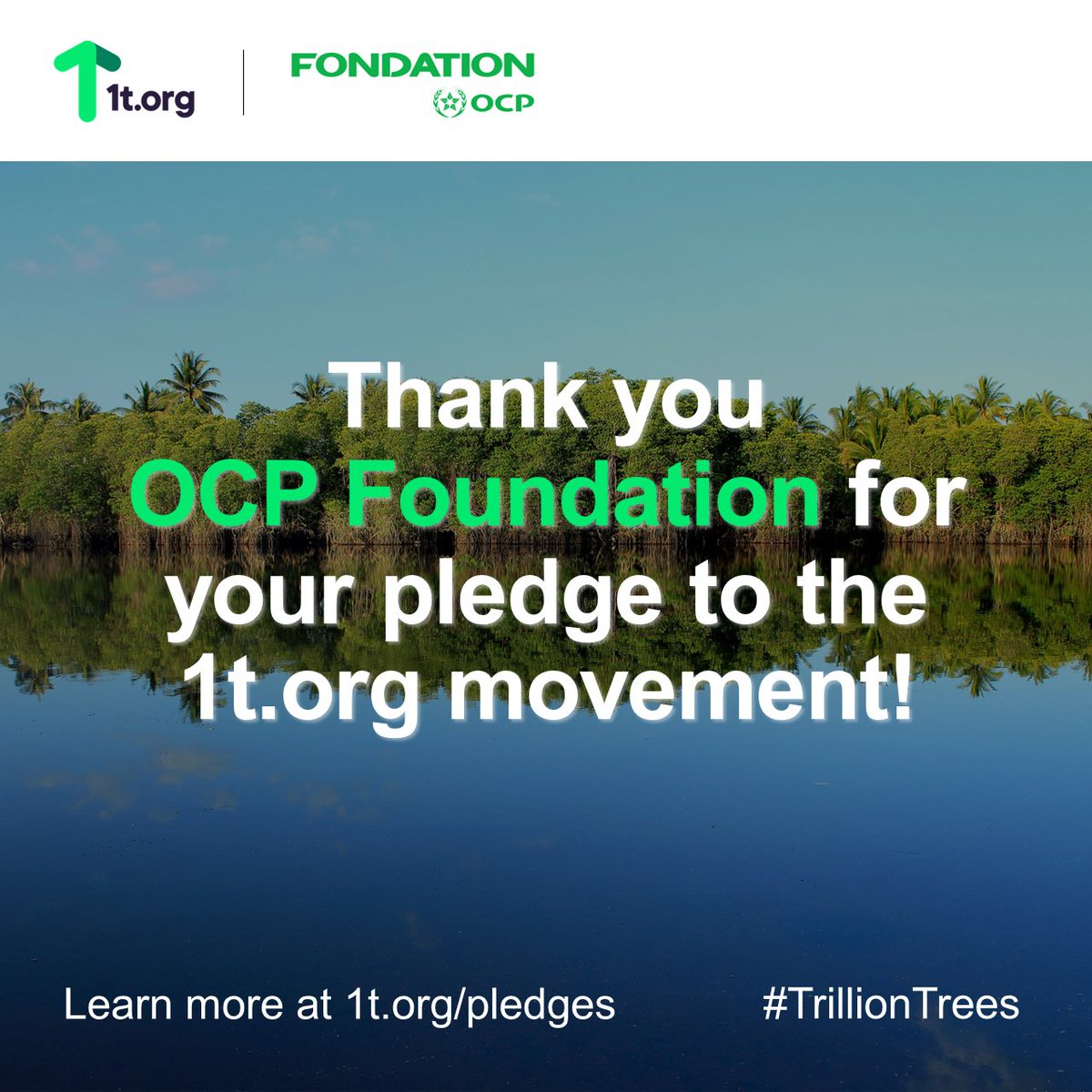 We are thrilled to welcome the first African company, @ocpgroup, to 1t.org! Their commitment spans harnessing the value of local trees, empowering communities, and nurturing livelihoods in Africa and beyond. Learn about their pledge at 1t.org/pledges/ocps-t…