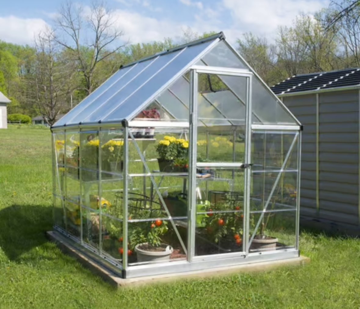 we’re looking for a new polycarbonate greenhouse for the Rose Garden, if anyone has any recommendations/suggestions ??