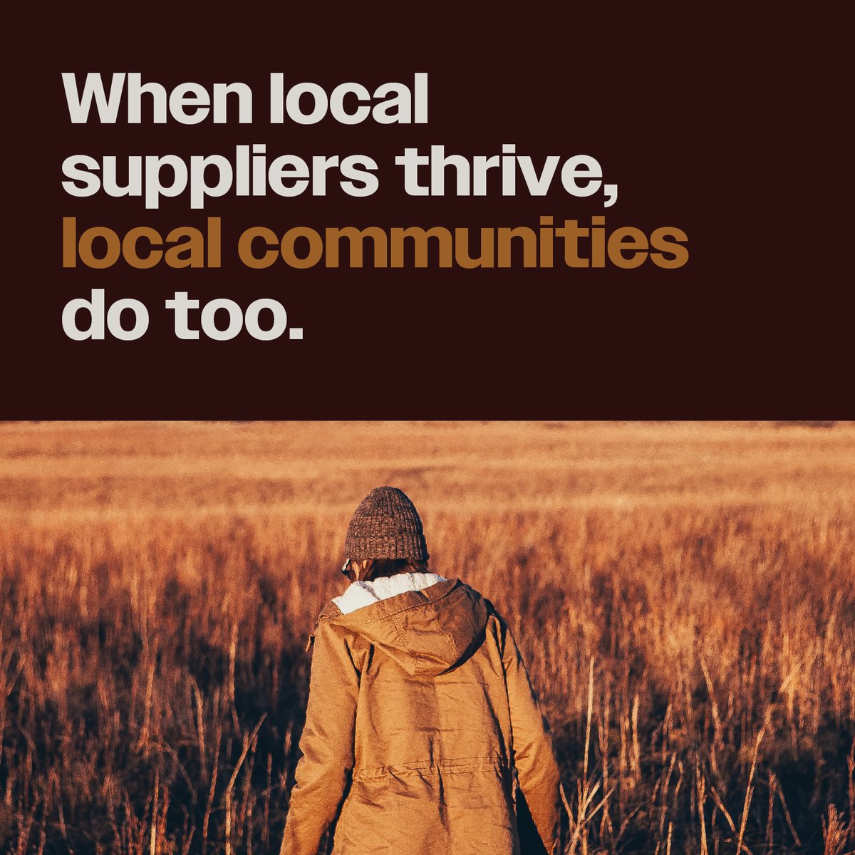 serofibre's tweet photo. Thrilled to partner with #IMBOTEX for high-tech insulations made with our European sourced &amp; processed Sero™ performance fibre! When #local suppliers thrive, local #communities do too. 🌱 #NextGenSolutions #LocalSourcing #PositiveImpact https://t.co/krBV570E6O