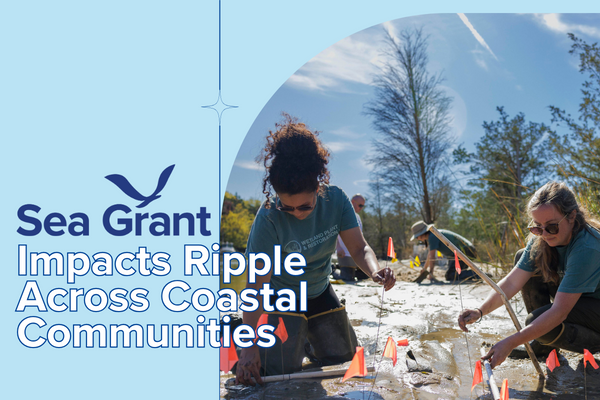 #SeaGrant made waves in 2022 🌊 🌊 🌊 From leading #research to driving #sustainability, our programs left lasting impacts across #coastal and #GreatLakes communities. Dive in: bit.ly/SGimpacts