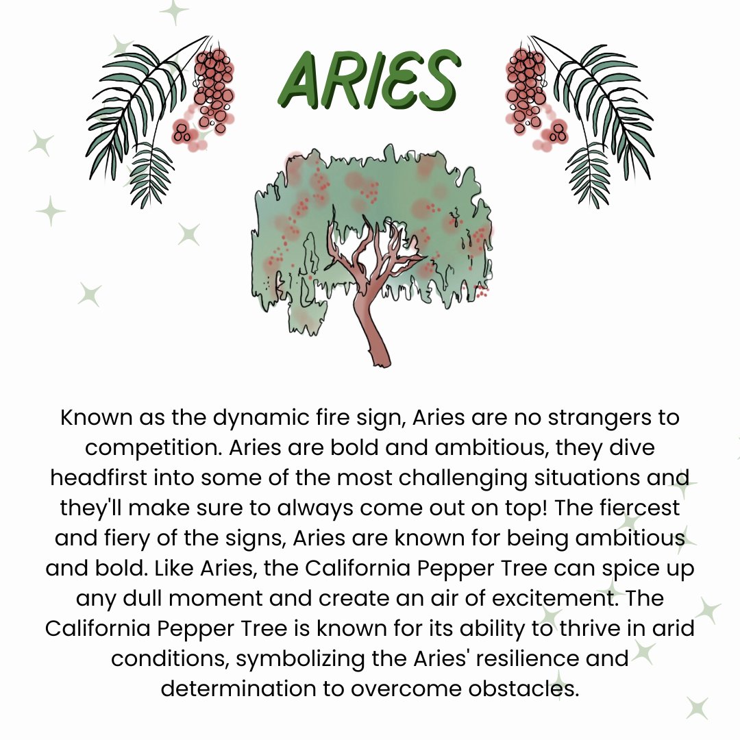 Welcome, Aries season! Join us in celebrating the California Pepper Tree.