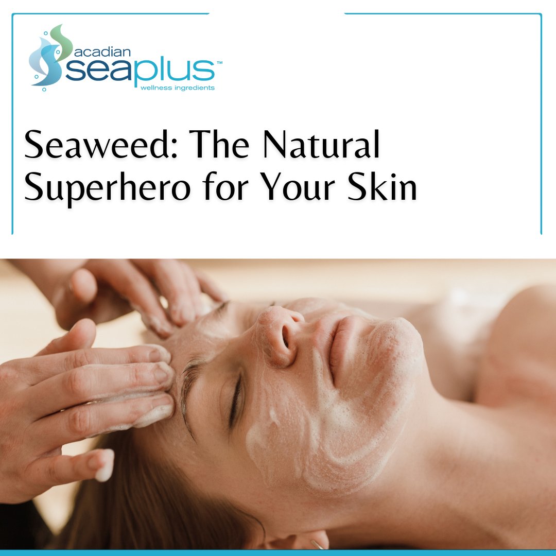 From fighting oxidative stress to promoting collagen production, seaweed has you covered from head to toe. Read more here: acadianseaplus.com/seaweed-extrac… #AcadianSeaPlus #Skincare #NaturalSkincare