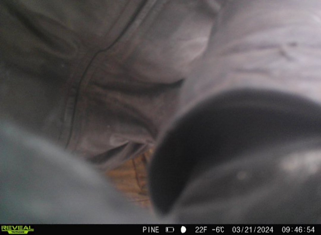 Cell cam for the win! This POS got a ride in a cruiser &amp; I got my camera back. I was 20 mins away when I got the notifications. I was able to get home and have the police there before the scumbag left. The camera is a little beat up but is still operational. Thank you <a href="/tactacam/">TACTACAM</a>