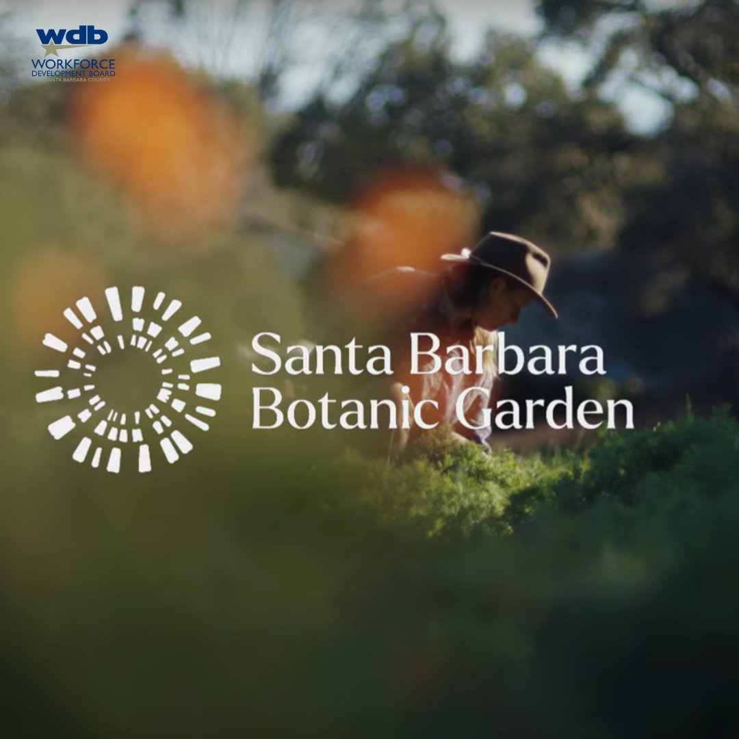 sbcajcc's tweet image. 🌿🔍The Santa Barbara Botanic Garden is on the lookout for a Lichenarium Technician!
 This unique part-time role involves caring for and managing our precious collections of over 51,500 lichen specimens. 🍃
sbbotanicgarden.org/about/employme…