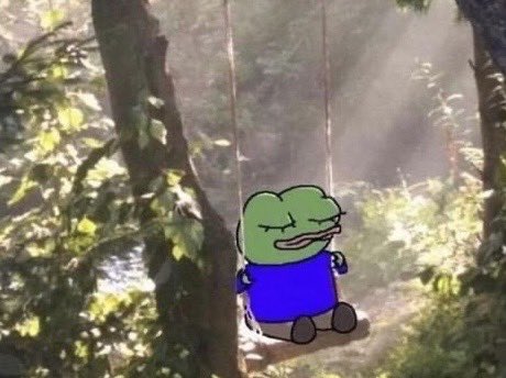 Droghiera tweet media