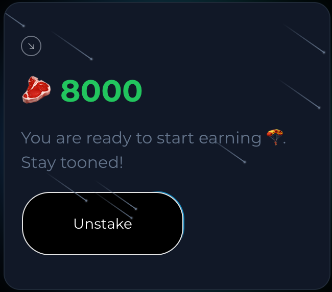 SatoshiVM Squad 🪂 tweet media