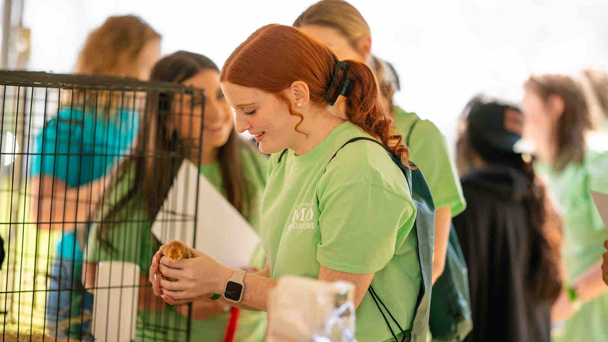 University of Mount Olive tweet media