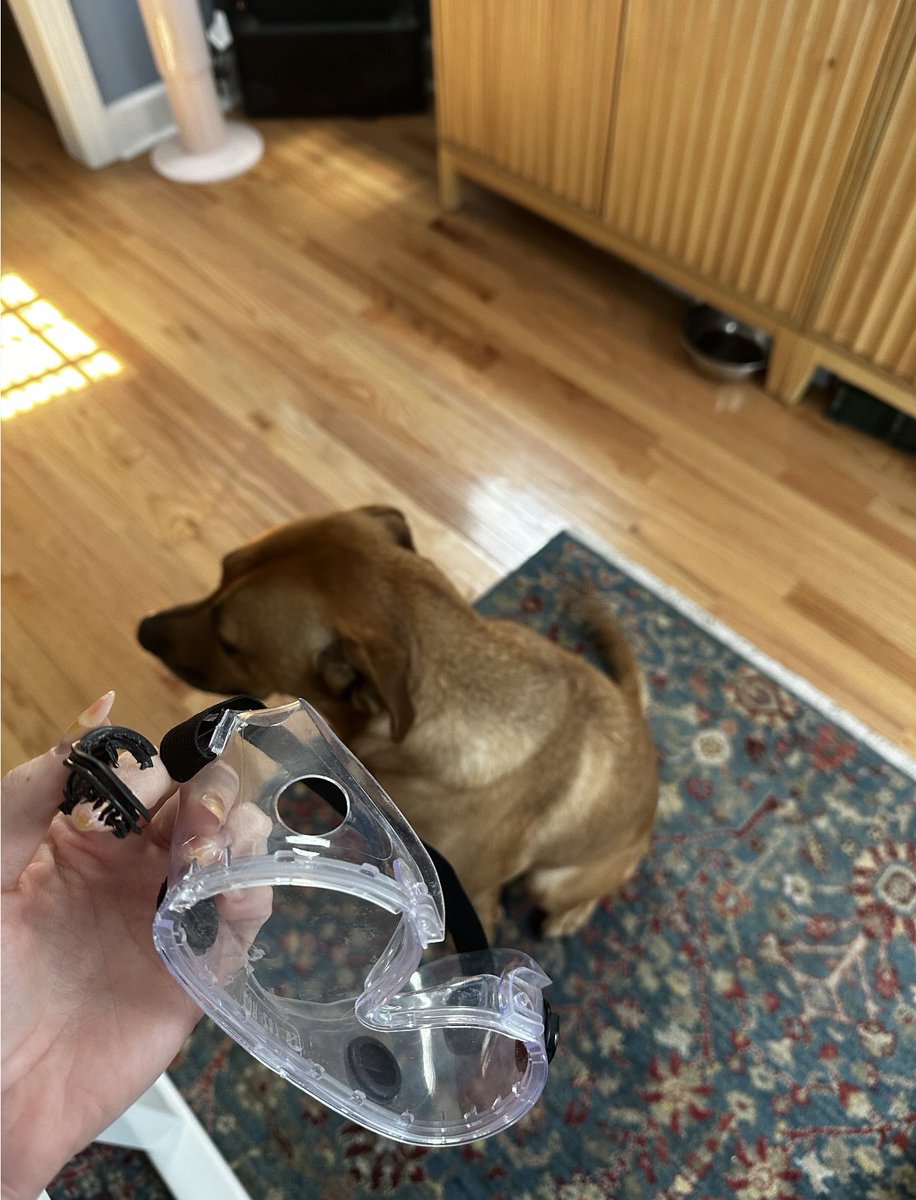 This goes down as my favorite student email, so far. And yes, I will give them goggles. #chemtwitter