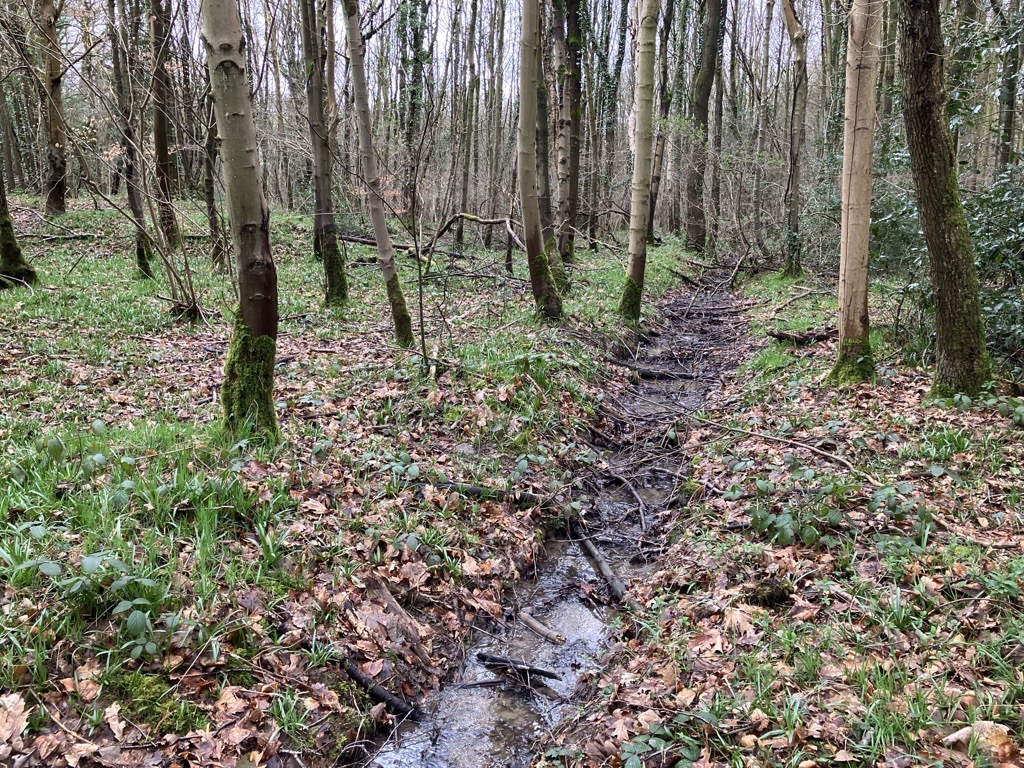 Connected by Water (@connectedbyh20) on Twitter photo It's #WorldWaterDay! We're always thinking of ways to work with water to benefit nature & wellbeing whilst managing risks like flooding & supply.
<a href="/EnvAgencyYNE/">Environment Agency - Yorkshire & North East</a> & <a href="/SheffCouncil/">Sheffield City Council</a> have been exploring the Sheaf catchment to scope new projects with <a href="/WildSheffield/">Sheffield & Rotherham Wildlife Trust</a>. Watch this space.. It's #WorldWaterDay! We're always thinking of ways to work with water to benefit nature & wellbeing whilst managing risks like flooding & supply.
<a href="/EnvAgencyYNE/">Environment Agency - Yorkshire & North East</a> & <a href="/SheffCouncil/">Sheffield City Council</a> have been exploring the Sheaf catchment to scope new projects with <a href="/WildSheffield/">Sheffield & Rotherham Wildlife Trust</a>. Watch this space..