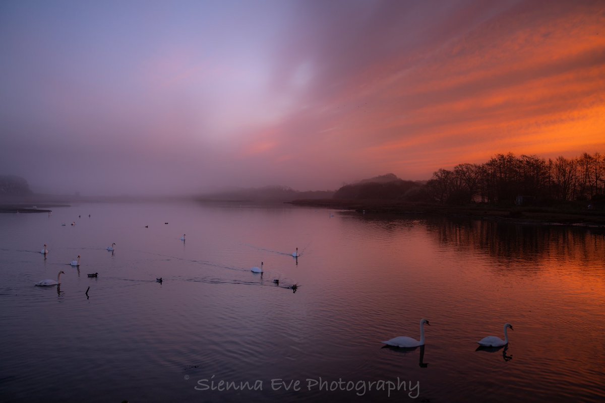 Misty sunrise over the causeway Freshwater