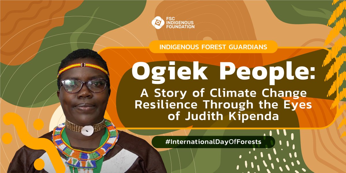 fsc_if's tweet photo. Celebrating #InternationalForestsDay with our 'Indigenous Forests Guardians' campaign. Explore Judith Kipenda's story on the Ogiek People's bond with the Mau forest, pivotal in addressing climate change by reversing deforestation.

#IndigenousForestGuardians https://t.co/27GeSvRmKU