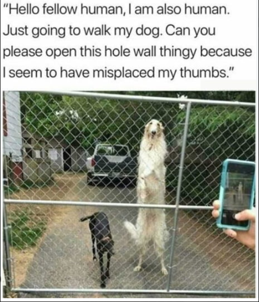 MemeCoinMaster2's tweet photo. $BORZ is gunna make me wealthy af
Micro cap action on #solana and #bnb
@wolfgangborzoi
@CryptoThro @Yourpop8 @allnick @Fityeth
#godme #100x #memecoin #gem #babydoge #shibarmy #wif #slerf #toshi #smole https://t.co/3PEVRfR8Jr
