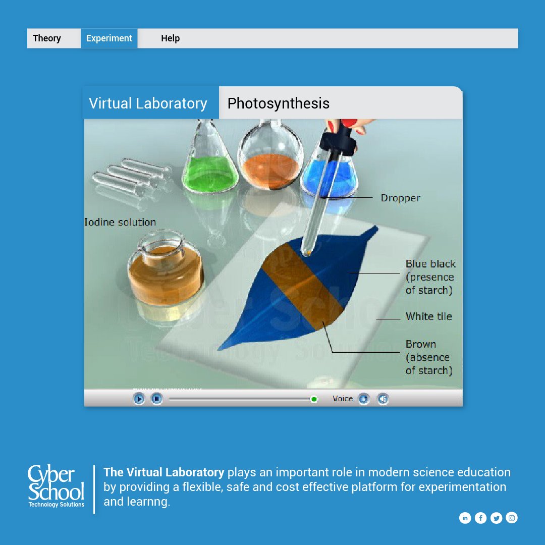 Cyber School's virtual laboratory provides educators with a powerful tool with which to deliver science education safely and cost effectively. Packed with interactive simulations, quizzes and self assessments, learners are better equipped to grasp and retain complex concepts.