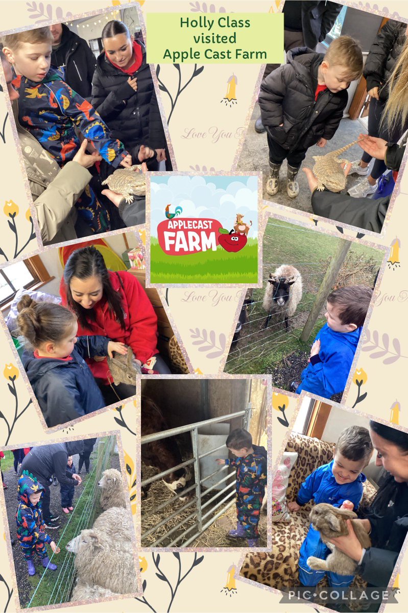 A wonderful day at Applecast Farm for Holly class ❤️