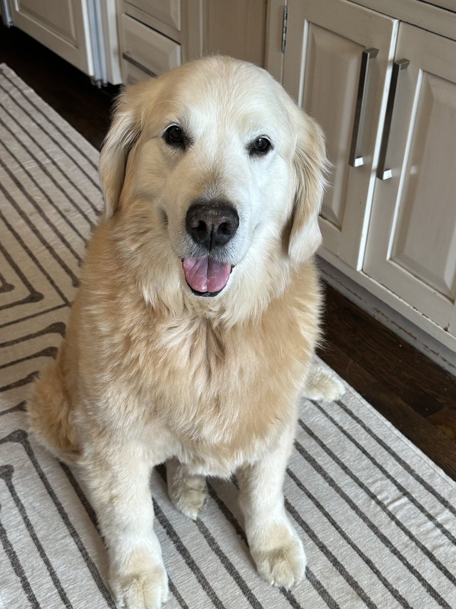 KirkHerbstreit's tweet image. Good luck with those brackets today! Ben pickin a lot of upsets.