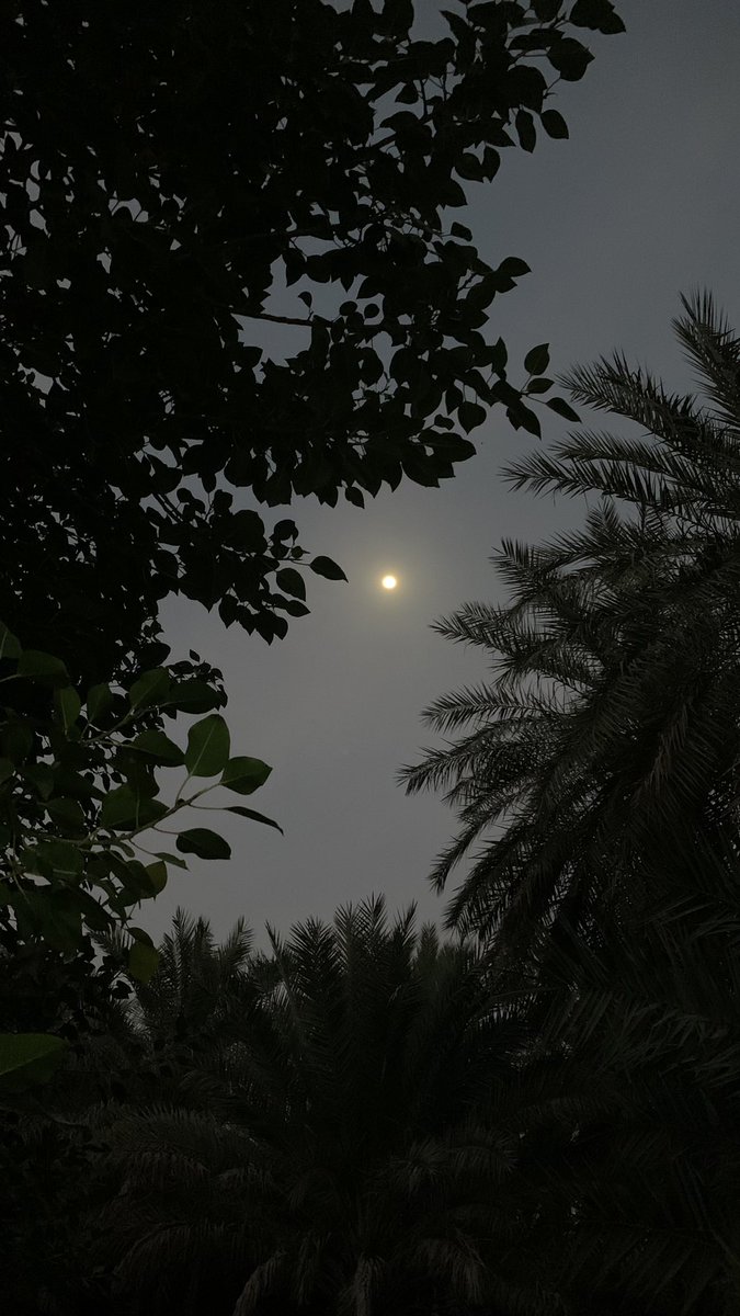 رَأَيْتُ #الْبَدْرُ فَاسْتَذْكِرْت وَجْهًا
يَفُوقُ الْبَدْرُ #حَسَنًا وَانْسِجَامًا