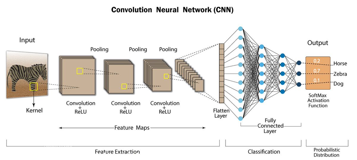 ✅Day 30 of #Deeplearning 

▫️ Topic - Convolutional Neural Network

📝#ConvolutionalNeuralNetworks also known as convet, are a special kind of neural network for processing data that has a known grid-like topology like time series data(1D) or images(2D)

A Complete 🧵