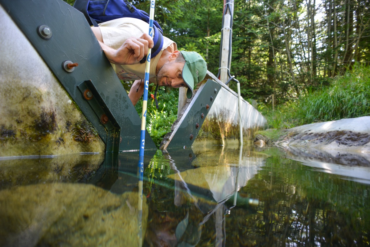 fzpczu's tweet photo. 🌊Dneska slavíme s #fzpczu Světový den vody!
🧑🔬🌿Naši hydrologové a pedologové zkoumají koloběh životodárné vody v krajině do těch nejmenších detailů, doslova od výparu z listů po vsakování do půdy.
#naturefuture https://t.co/sB6tFq6vRH