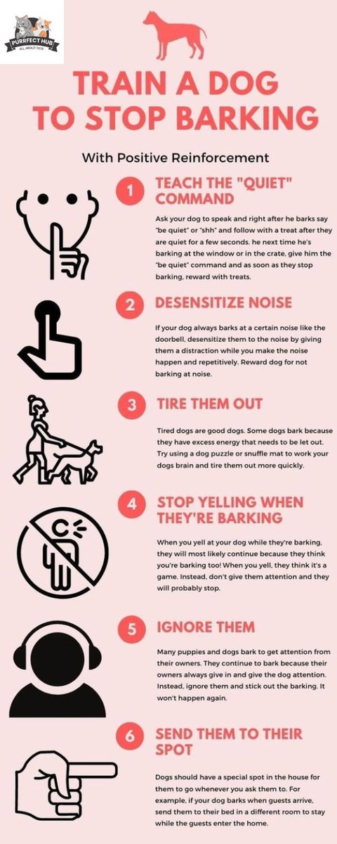 You can’t afford to have a trainer. Know how you can train a dog to stop barking. Training your dog to stop barking 

#Perfecthub #DogsOfTheWorld #DogLoversClub #DogBlog #PetDog #ShelterDogs #DogPics #DogDaily #DogOwner #DogParents #Pet #HealthyPet